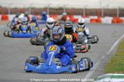 _DSC4497 copie